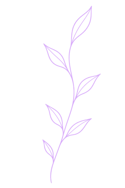plant illustration